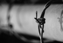 Задержаны еще трое подозреваемых по делу о двойном убийстве в Актобе (ВИДЕО)