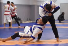 Спортсмены тюркских государств поборются за Кубок Азии