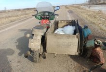 Полицейские задержали охотника, застрелившего краснокнижных лебедей в Акмолинской области