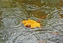 Снег и дождь прогнозируют синоптики на большей части Казахстана