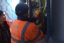 Кот застрял в электрощитовой в Усть-Каменогорске