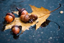 Дождь и снег пройдут в Казахстане в последний день октября