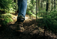 Шестерых пропавших с начала года детей продолжают разыскивать в Казахстане