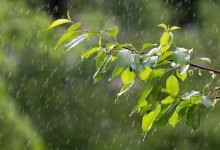 Неустойчивый характер погоды сохраняется в Казахстане