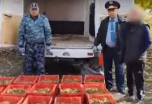 Слишком громко шуршали: шесть тысяч живых раков изъяли у контрабандиста в ВКО