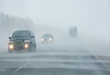 Не ездить далеко рекомендуют жителям СКО