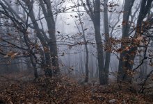 Ветер, туман и дожди ожидаются в Казахстане