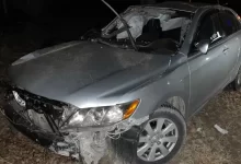 В Таразе погиб подросток: автомобиль врезался в дерево