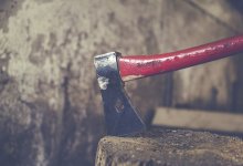 Откуда дровишки? За взятку в 15 тысяч тенге осужден директор лесхоза в СКО