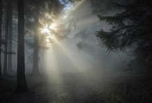 Туман и усиление ветра ожидаются по Казахстану