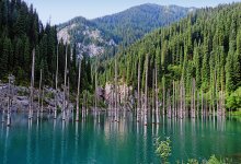 Почти 500 туалетов не хватает в туристических местах Казахстана