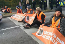 На экоактивистов завели более 700 уголовных дел в Берлине