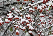 Снег на большей части Казахстана пройдет 9 ноября