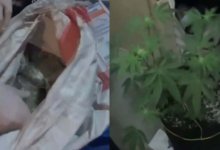 Две нарколаборатории ликвидировали в Костанае