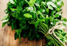 Вместо цветов пучок укропа и петрушки - депутат об инфляции в Казахстане