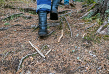 Ушедшего за грибами пенсионера не могут найти уже десять дней