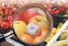 Просроченные продукты и тараканы: кызылординка пожаловалась на сельскую больницу