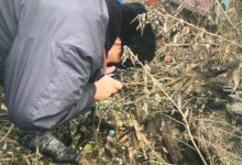 Схроны оружия, пролежавшие около двух лет, обнаружили в ВКО