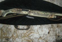 Разделывающих туши косуль охотников задержали с поличным в СКО