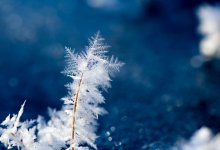 Морозы до 29 градусов ожидаются в Казахстане