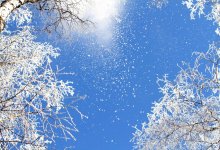 Ясная морозная погода будет в Казахстане 30 ноября