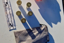 Лошадей сельчан убивали скотокрады в Жетысуской области