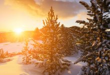 Каким будет декабрь в Казахстане, спрогнозировали синоптики