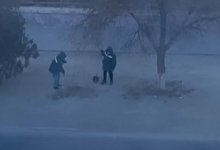 Саженцы деревьев высаживают в мороз в Актау