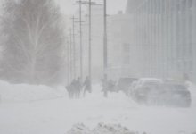 Туман, метель и порывистый ветер ожидаются в пяти областях Казахстана