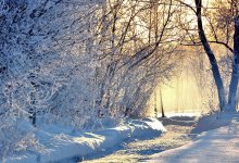 Погода без осадков ожидается практически во всех регионах Казахстана