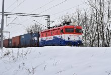 Грузовой поезд сбил восемь лошадей в ВКО