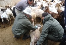 Никто и не говорил, что будет легко