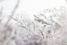 Штормовое предупреждение объявили в четырех областях Казахстана