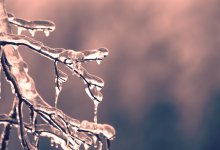 Морозы понемногу отступят в Казахстане