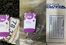 Две SIM-карты с насваем пытались передать осужденному в колонии Астаны