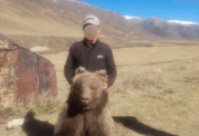 Мужчину на фото с отстреленным медведем нашли полицейские Жетысу