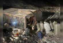 Около полутонны наркотиков изъяли полицейские в Жамбылской области