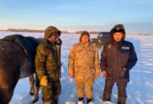 Ночевал прямо в снегу: заблудившегося пастуха спасли в Костанайской области