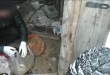 Свыше трех килограммов марихуаны изъяли у сельчанина в Абайской области