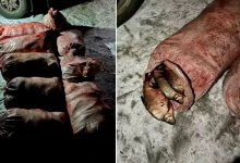 Браконьер незаконно наловил 400 кг рыбы в Шульбинском водохранилище