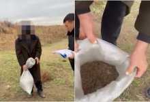 За расфасовкой наркотиков задержали жителя Жамбылской области (ВИДЕО)