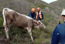 О самых необычных спасательных операциях рассказали в ДЧС ВКО