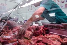 Кишечную палочку обнаружили в курице и мясных полуфабрикатах в СКО