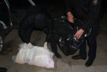 Тушу сайгака в багажнике авто обнаружили в Кызылординской области (ВИДЕО)