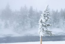 Снег и метель продолжатся в Казахстане