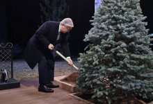 Президент Казахстана посадил дерево на аллее в Ташкенте