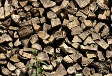 В Казахстане продлили запрет на вывоз отдельных видов лесоматериалов из страны