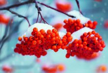 Усиление ветра и туман ожидают большую часть Казахстана