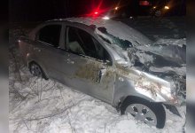 Смертельное ДТП в СКО: автомобиль наехал на лошадь, запряженную в сани