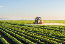 Более миллиона га неиспользуемых земель выявили в Акмолинской области